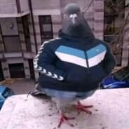 Avatar of player witness to death