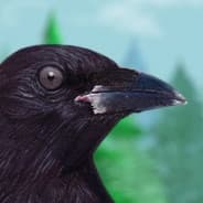 Avatar of player birb
