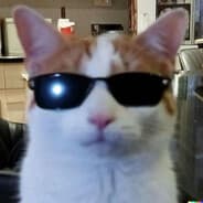 Avatar of player stormhacku
