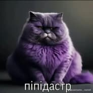 Avatar of player піпідастр