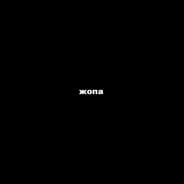 Avatar of player щ.