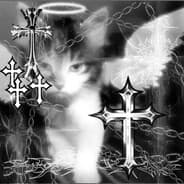 Avatar of player cat
