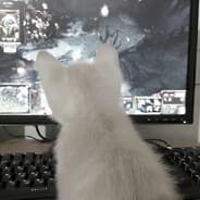 Avatar of player panicattack