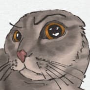 Avatar of player skuur4ik