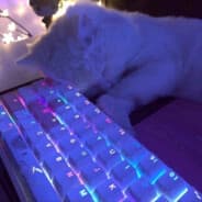 Avatar of player NOSLEEP NOLIVE