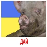 Avatar of player дикий огурец