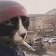 Avatar of player яйца полные реакция молния