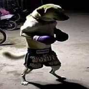 Avatar of player катке капут