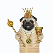 Avatar of player ГлаваМопсов