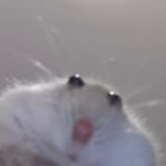 Avatar of player fuck off
