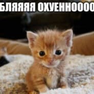 Avatar of player трах бабах