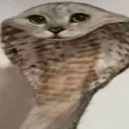 Avatar of player секс маньяк
