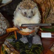 Avatar of player FLaRk